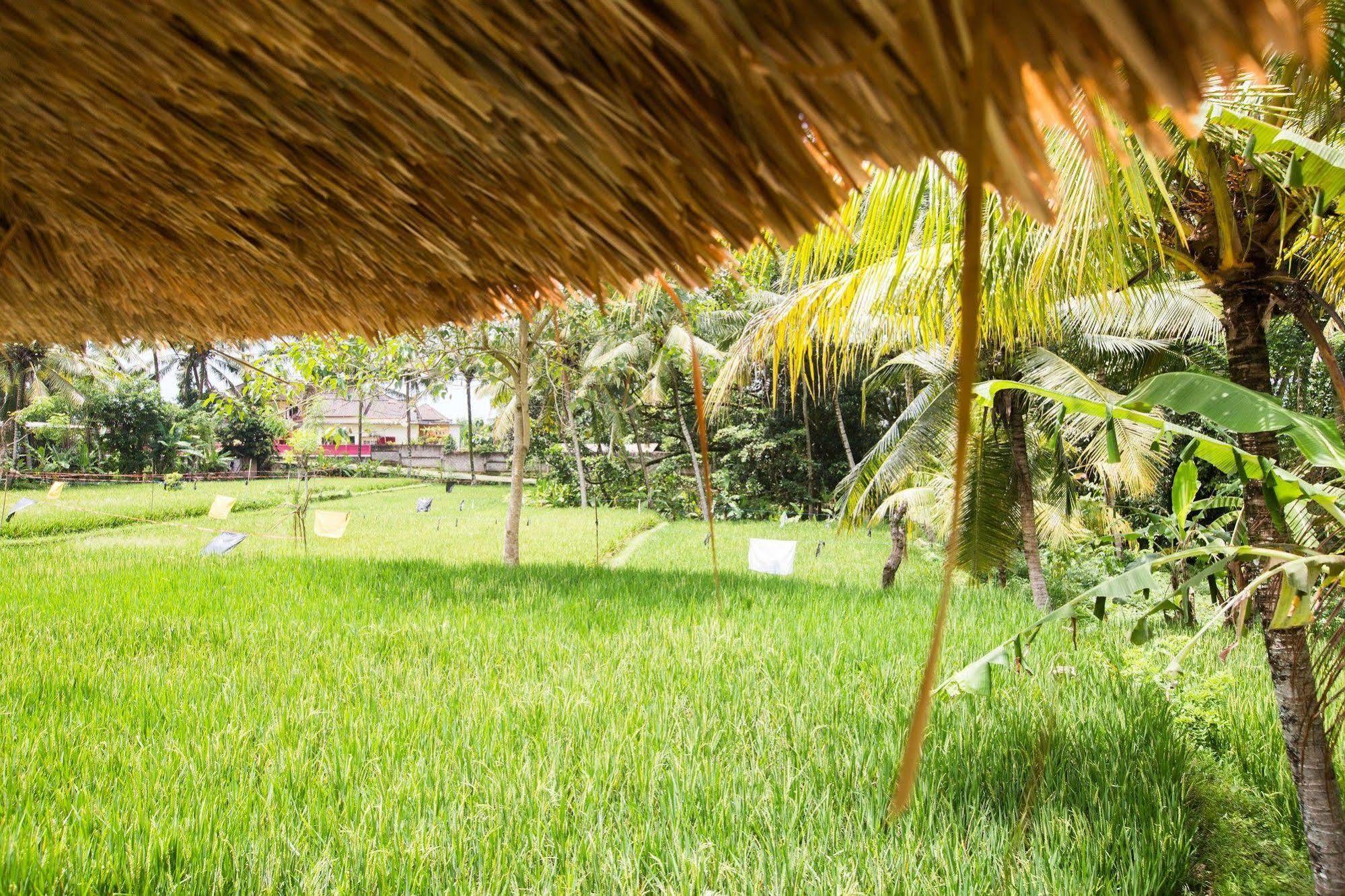 Royal Villa Jepun Ubud Eksteriør billede